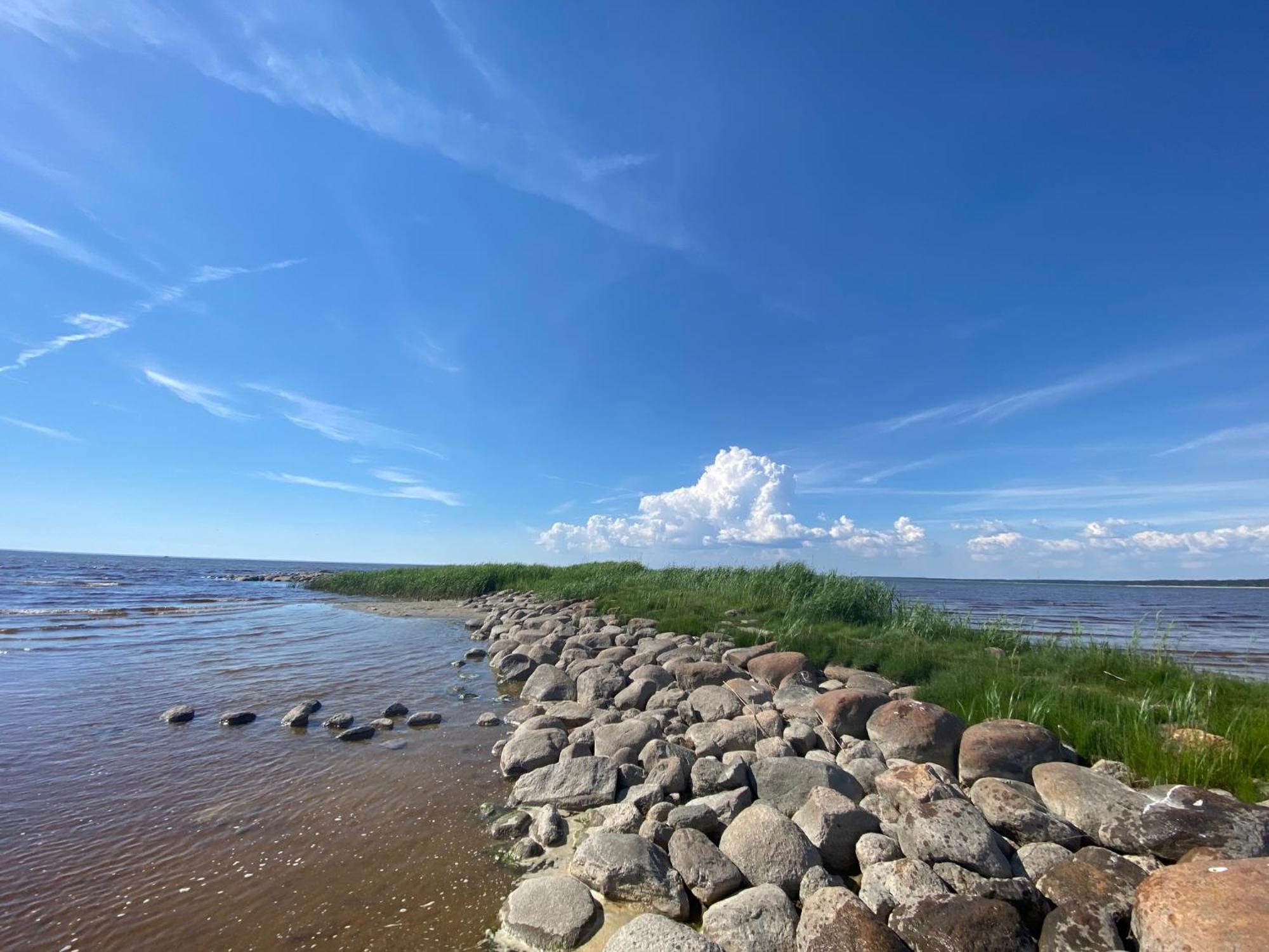 Metsaaeaere Accommodation Уулу Экстерьер фото